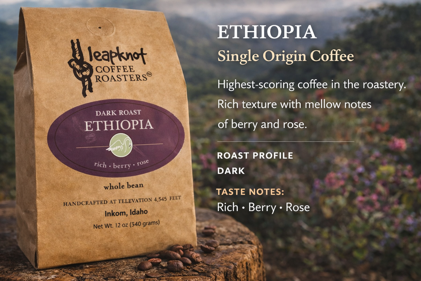 Ethiopia Guji
